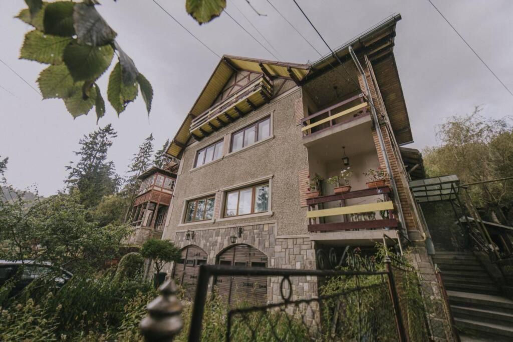 Predoi'S Place سِنايا المظهر الخارجي الصورة